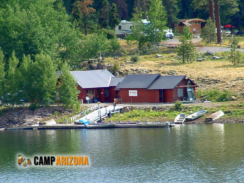 Elk Near Woods Canyon Lake